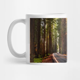 Avenue of The Giants Mug